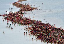A Jindo sziget csodája