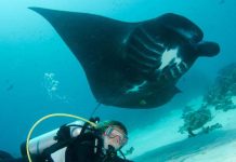 Indonézia búvárparadicsoma: Raja Ampat