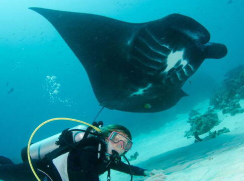 Indonézia búvárparadicsoma: Raja Ampat
