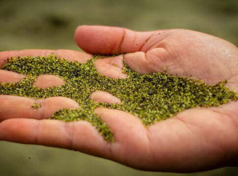 Papakolea gyönyörű zöld homokos tengerpartja