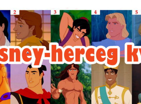 Kvíz: Felismered a Disney-hercegeket az orcájuk nélkül?