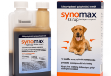 Ízületi támogatás minden életkorban: hogy kutyánk idős korban is fájdalmak nélkül élhessen