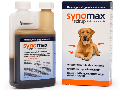 Ízületi támogatás minden életkorban: hogy kutyánk idős korban is fájdalmak nélkül élhessen